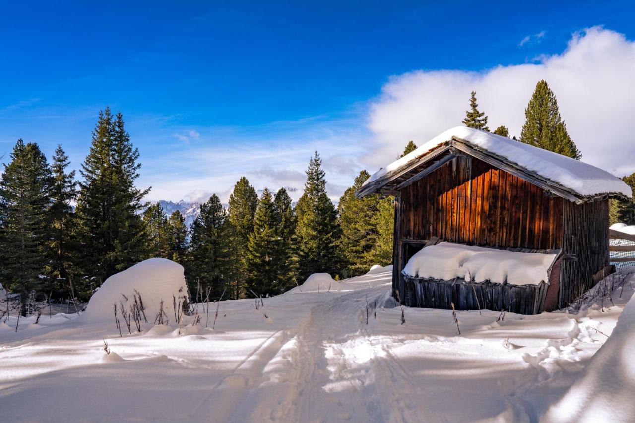 Hotel Pordoi Passo Pordoi Vegetarian